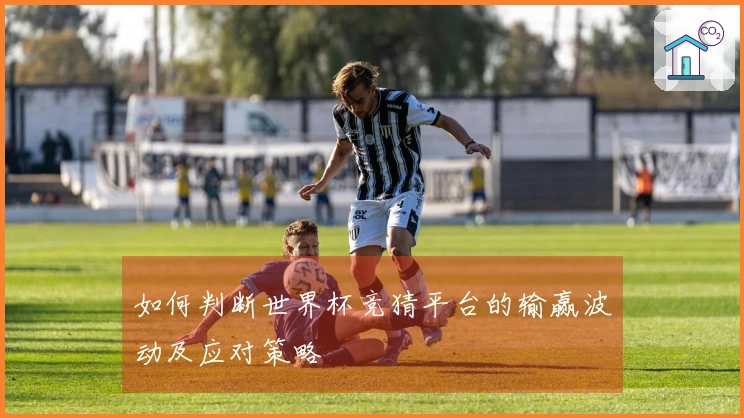 如何判断世界杯竞猜平台的输赢波动及应对策略