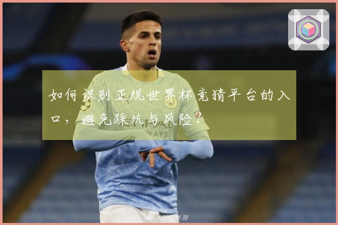 如何识别正规世界杯竞猜平台的入口，避免踩坑与风险？