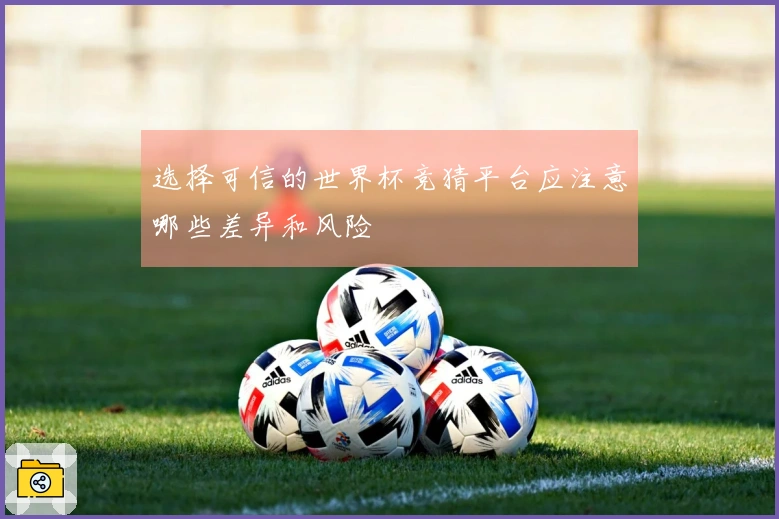 选择可信的世界杯竞猜平台应注意哪些差异和风险