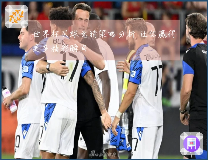 世界杯买球竞猜策略分析 让你赢得更多精彩瞬间