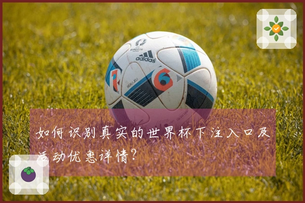 如何识别真实的世界杯下注入口及活动优惠详情？