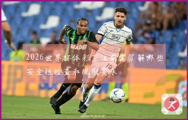 2026世界杯体彩下注前需了解哪些安全性检查和规则要求