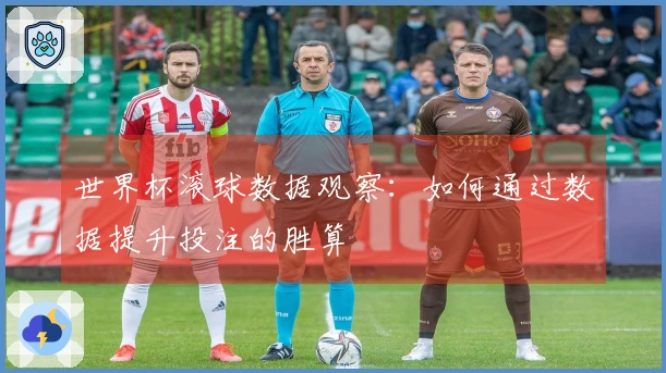 世界杯滚球数据观察：如何通过数据提升投注的胜算