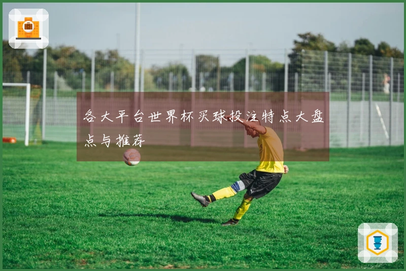 各大平台世界杯买球投注特点大盘点与推荐